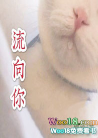 流向管理