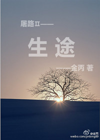 生途金丙完整番外结局txt